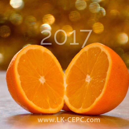 2017